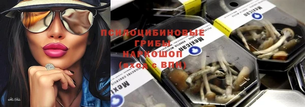 кристаллы Бикин