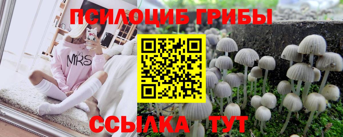 Псилоцибиновые грибы мухоморы Моздок