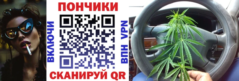 Шишки марихуана семена  Моздок 